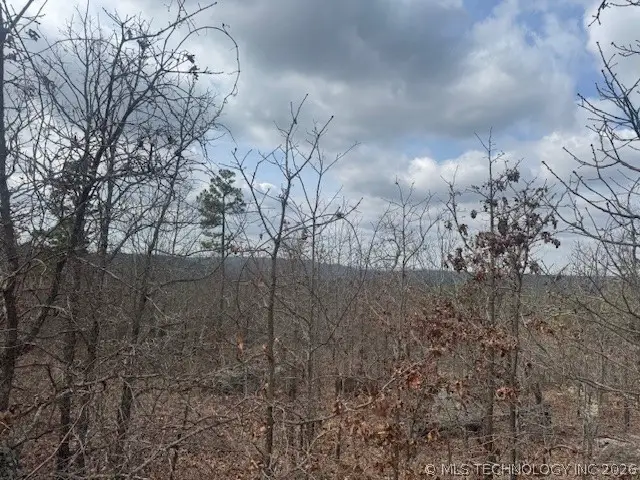 E 1732 Road, Clayton, OK 74536 - #3