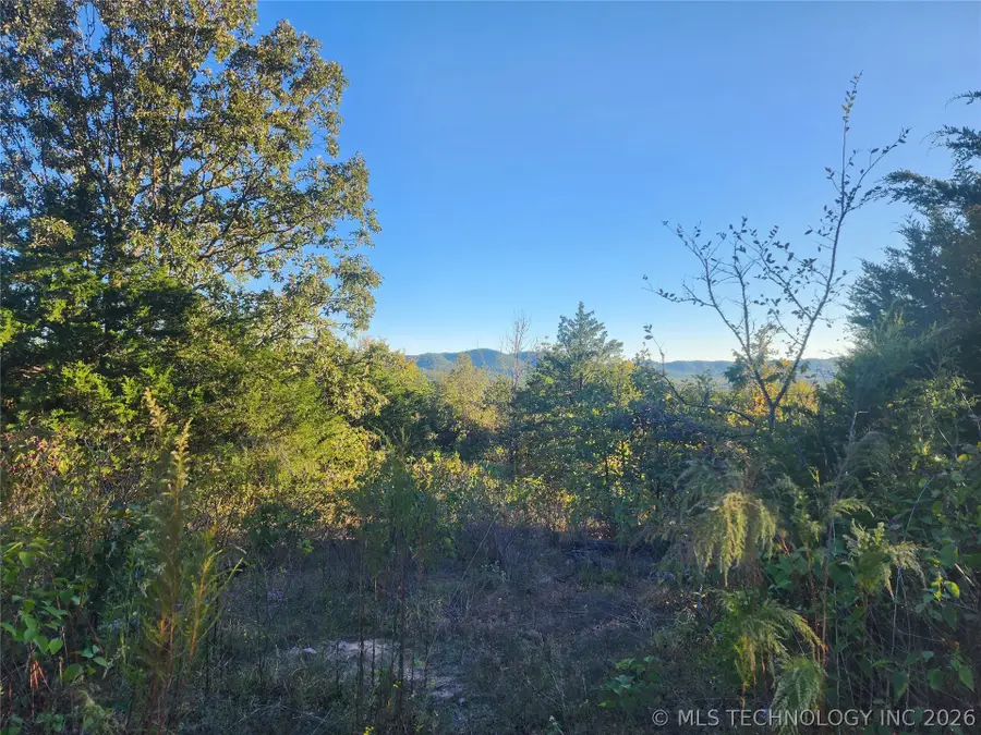 State Highway 63, Talihina, OK 74571 - #3