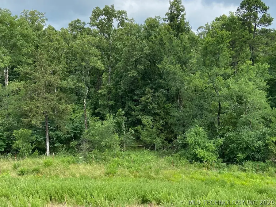 W State Hwy 3, Ringold, OK 74754 - #2