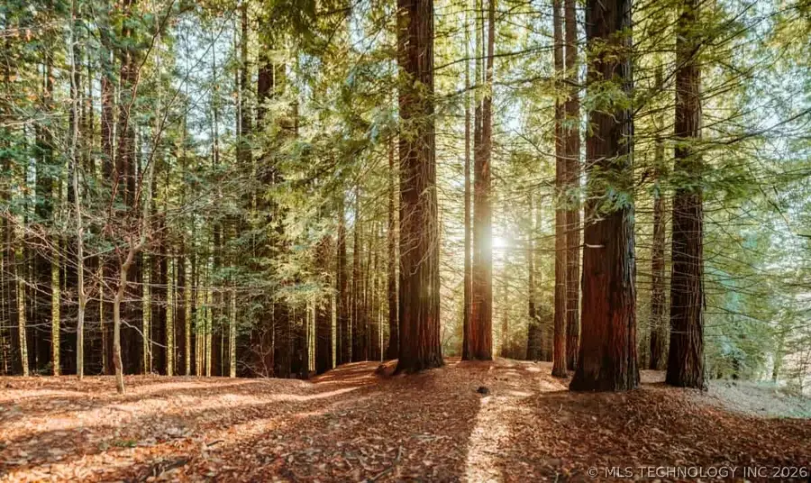 Address Withheld By Seller, Wilson, OK 73463 - #2