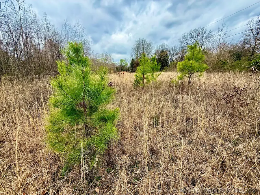 510023845 S 163rd Street S, Webbers Falls, OK 74470 - #2