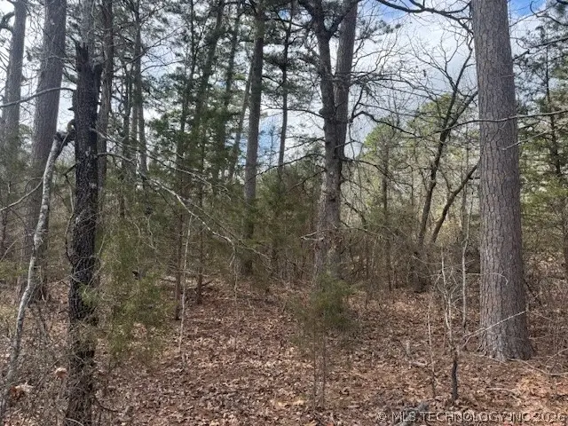 Turkey Creek Road, Red Oak, OK 74563 - #2