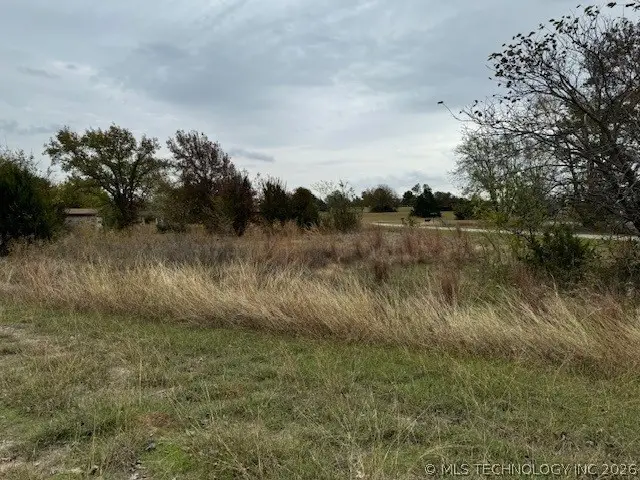 Franks Place, Burneyville, OK 73430 - #1