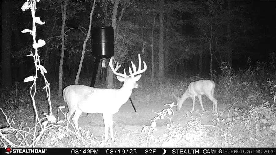 Cooper Bend, Kinta, OK 74552 - #3