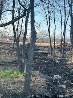 S Pine Street, Oologah, OK 74053 - #3