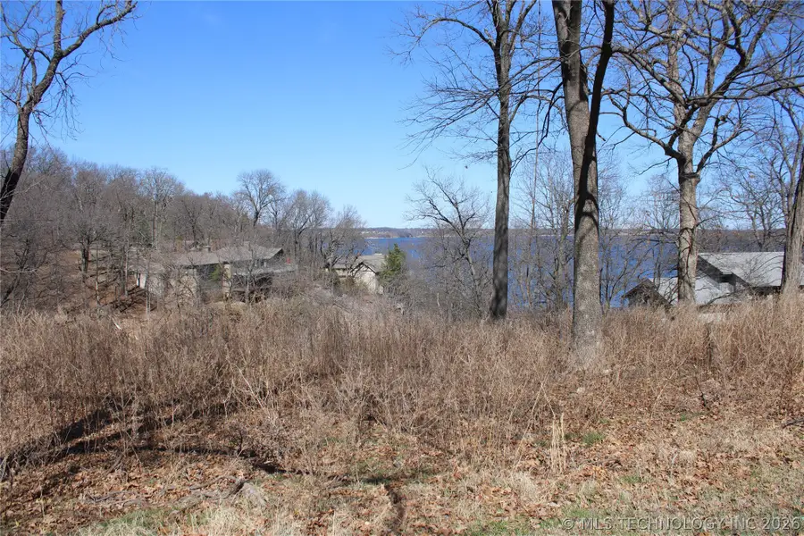 0000 Buzzard Bluff, Afton, OK 74331 - #3