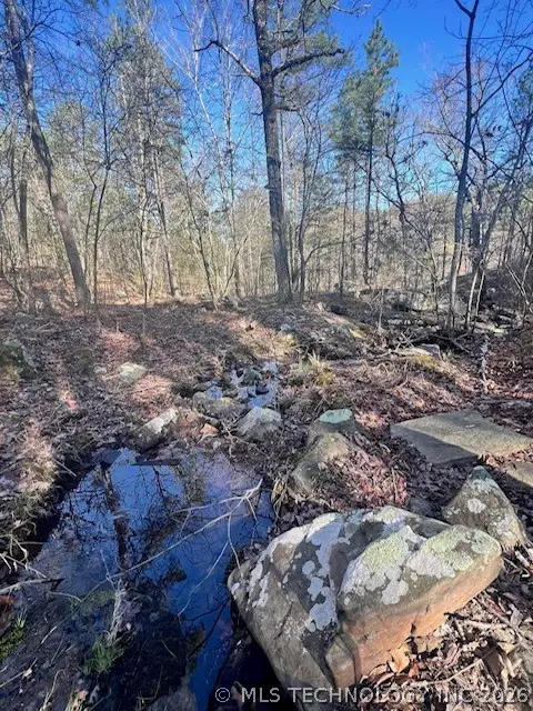 0000 Panola, Panola, OK 74559 - #1