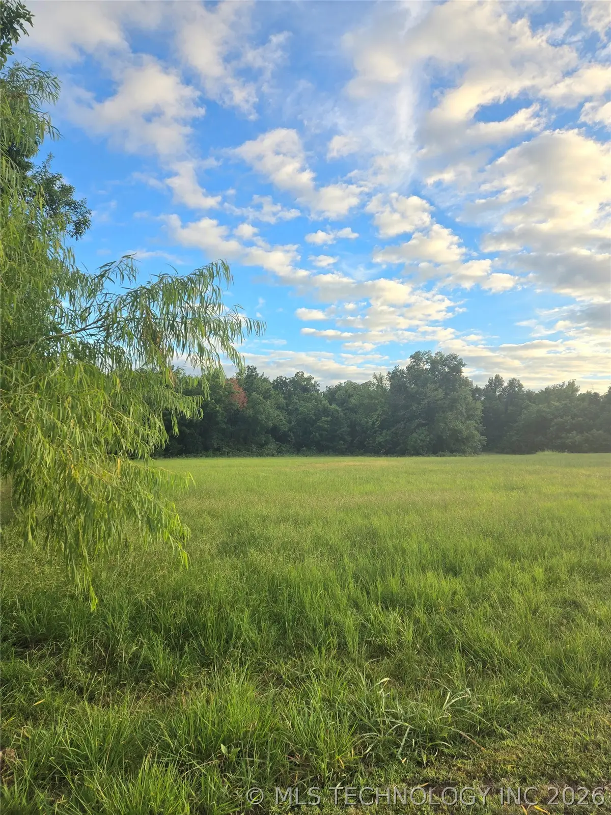 Peach, Locust Grove, OK 74352 - #1