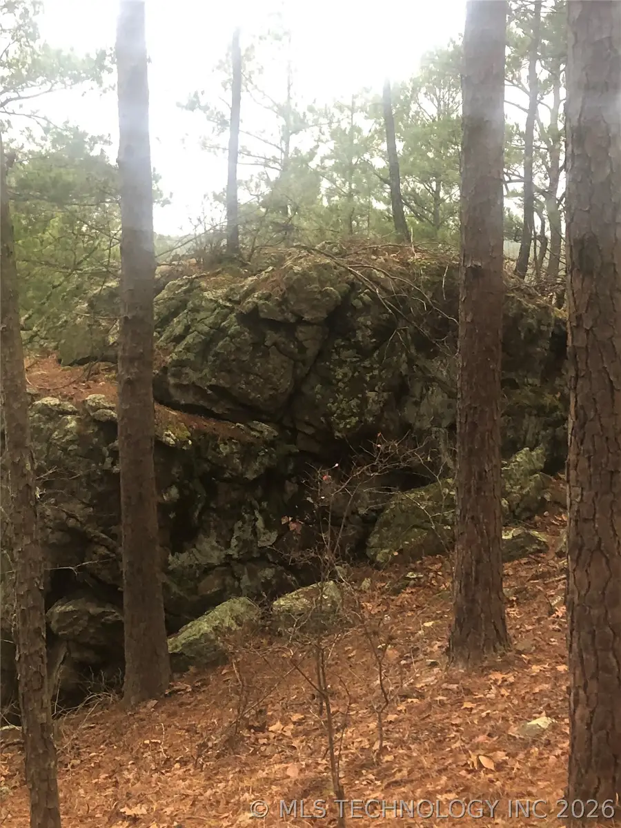 Miller Jumbo Road N, Moyers, OK 74557 - #3