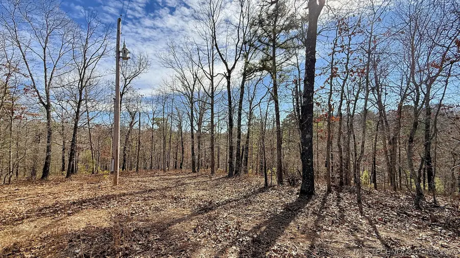 238 Fox Track Trail, Kansas, OK 74347 - #3