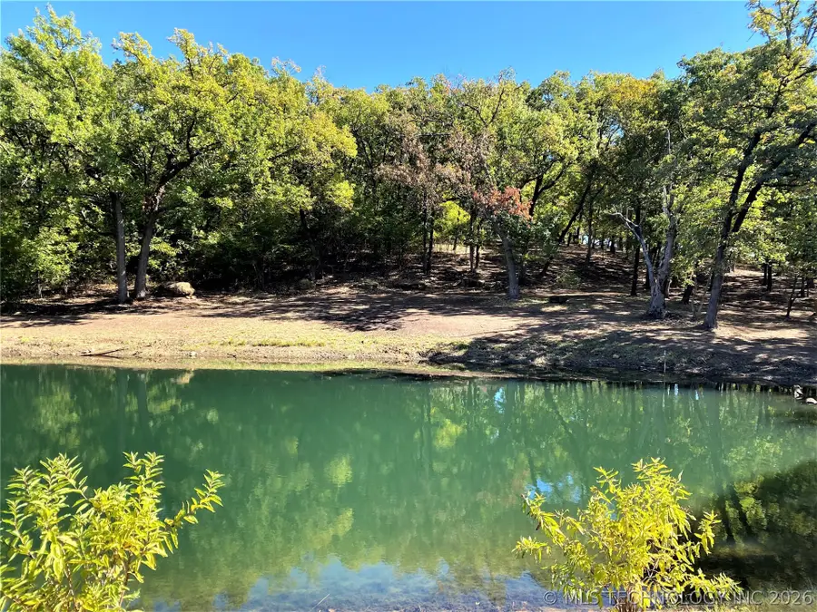 Indian Blanket Lane, Kingston, OK 73439 - #2