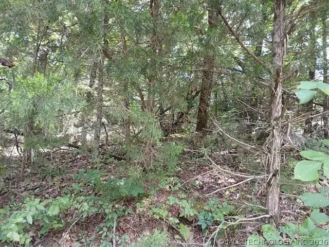 County Road 1170, Eufaula, OK 74432 - #1