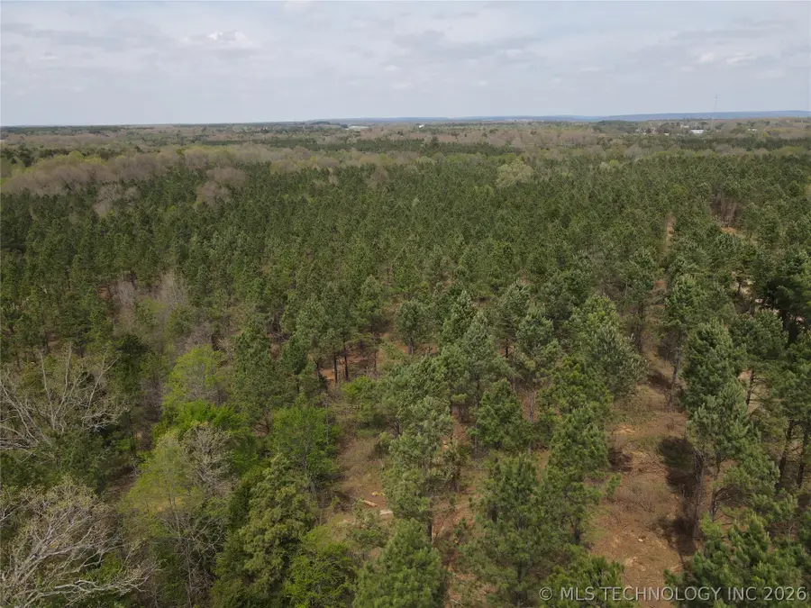 0000 Milam Road, Antlers, OK 74523 - #3