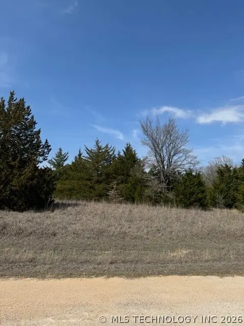Lilac, Burneyville, OK 73430 - #3