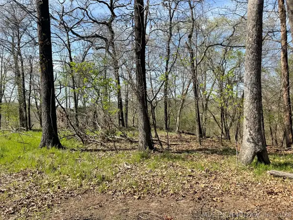 111 W Lakewood Drive W, Park Hill, OK 74451