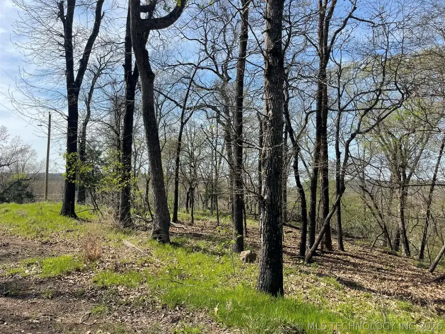 111 W Lakewood Drive W, Park Hill, OK 74451 - #3