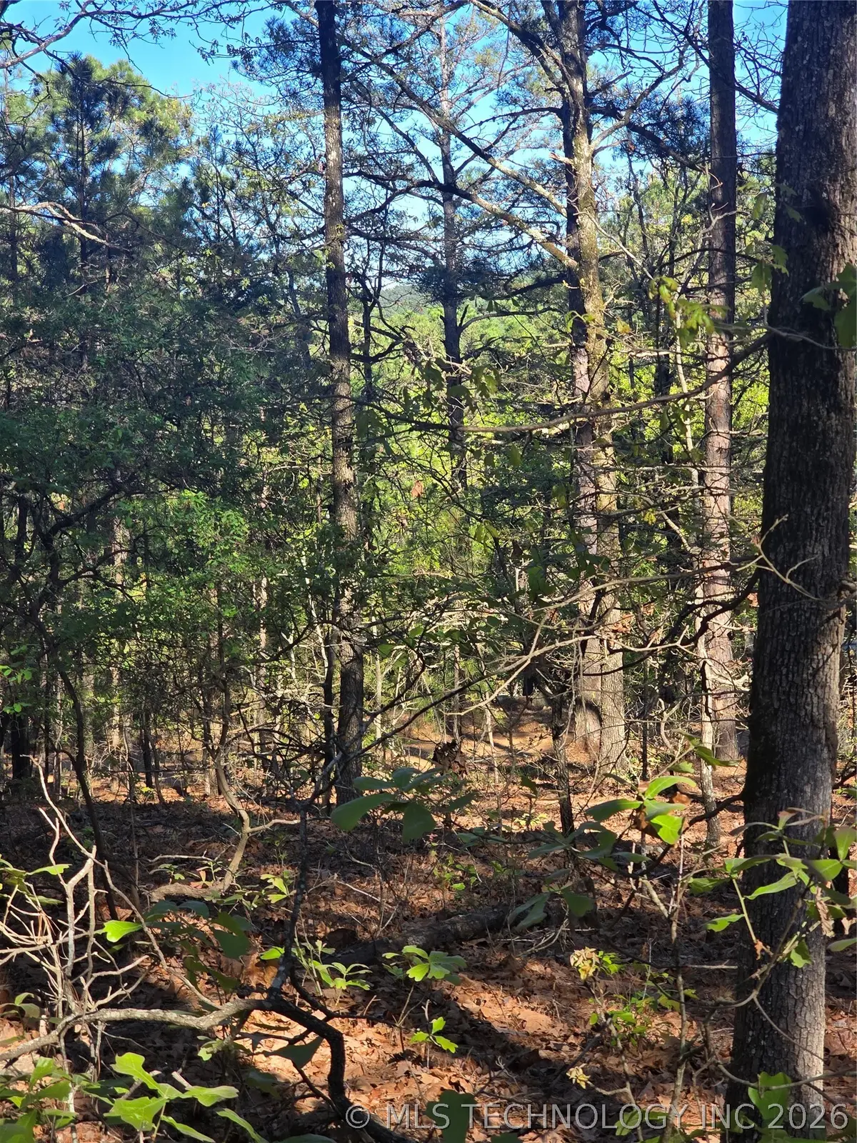 175 SW Sherman, Moyers, OK 74523 - #1