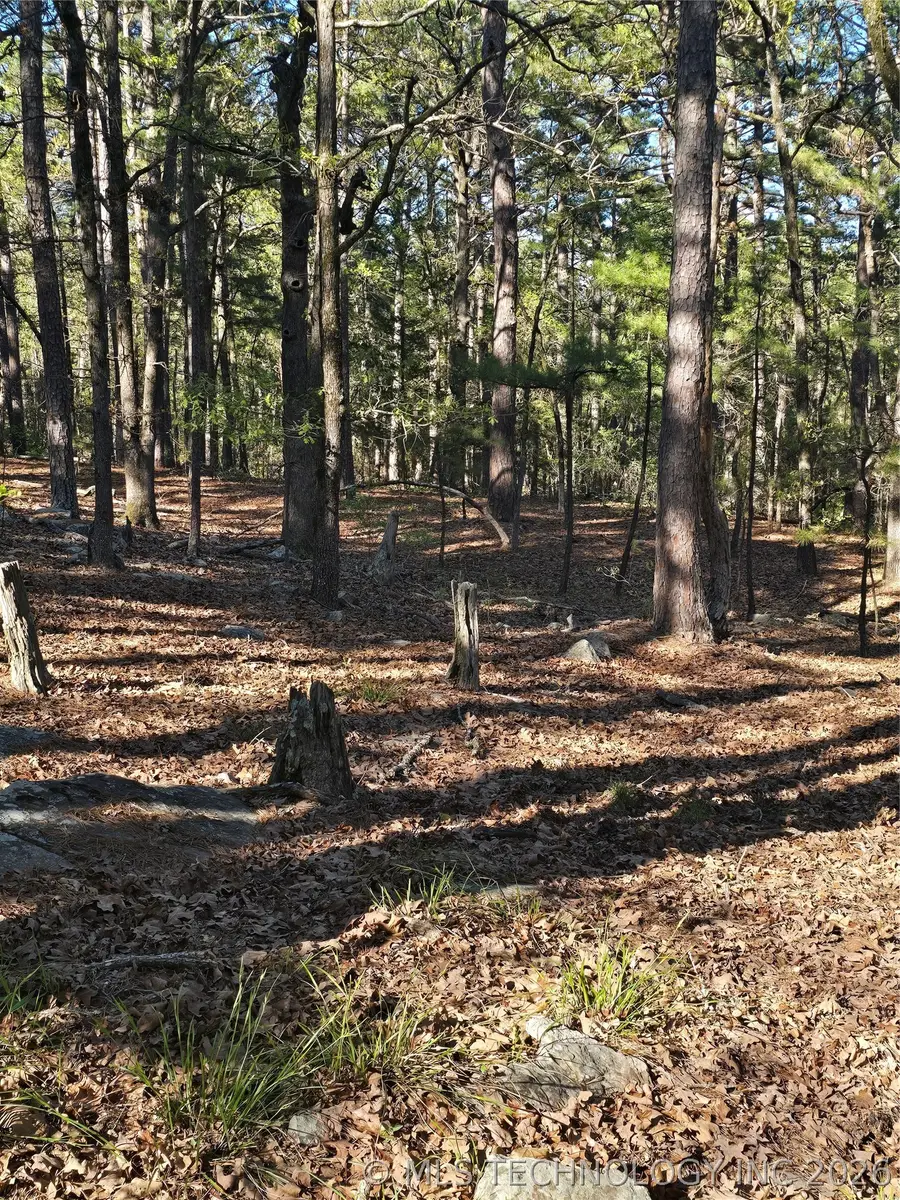 175 SW Sherman, Moyers, OK 74523 - #3