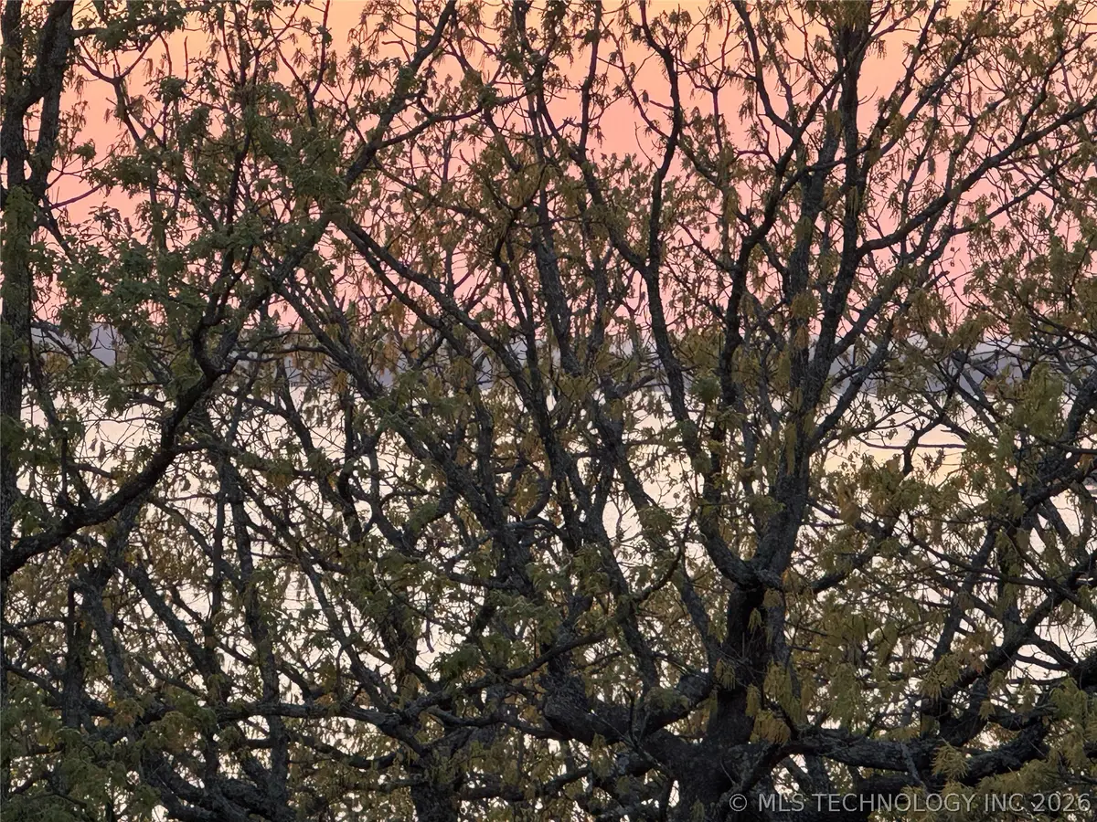 48 Wells Drive, Skiatook, OK 74070 - #1