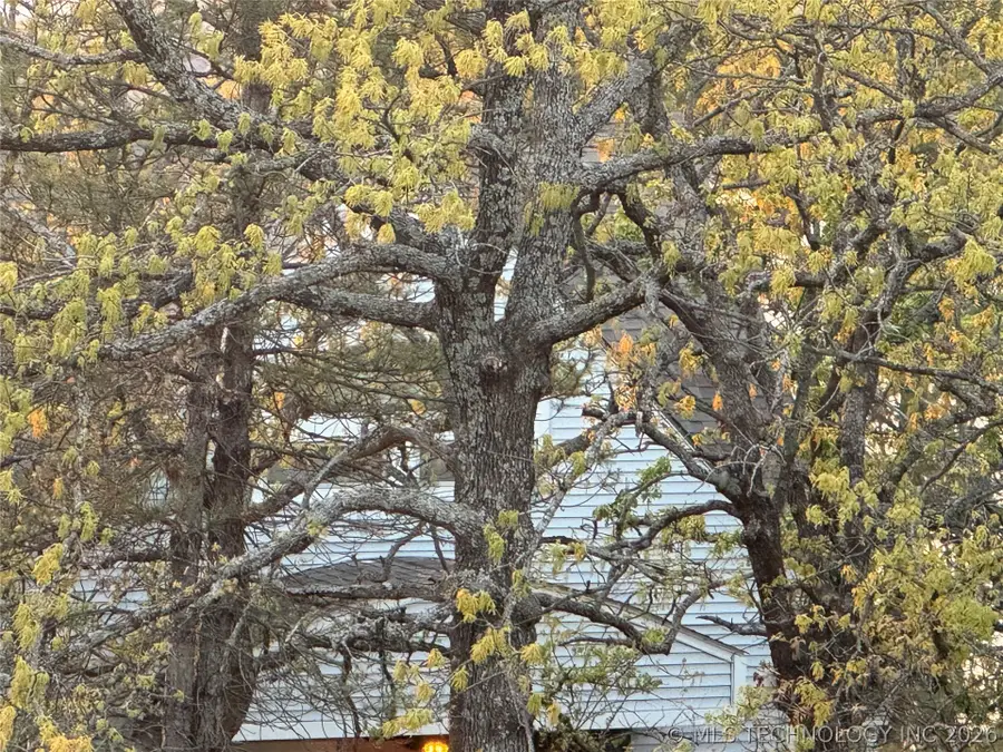 48 Wells Drive, Skiatook, OK 74070 - #2