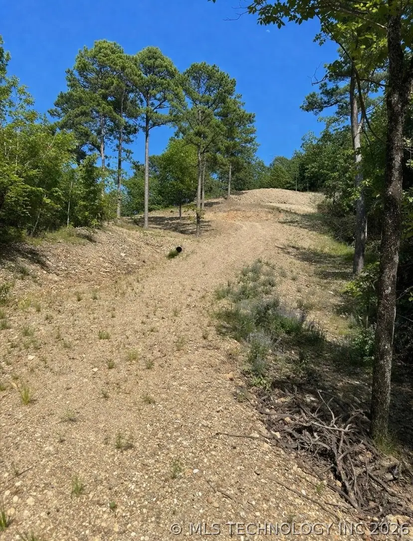 4335 Road, Tuskahoma, OK 74574 - #2