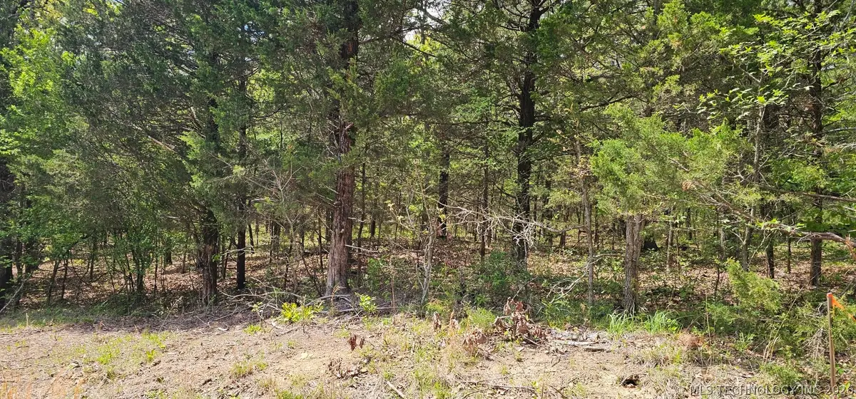 000000 E 1002 Road, Gore, OK 74435 - #1