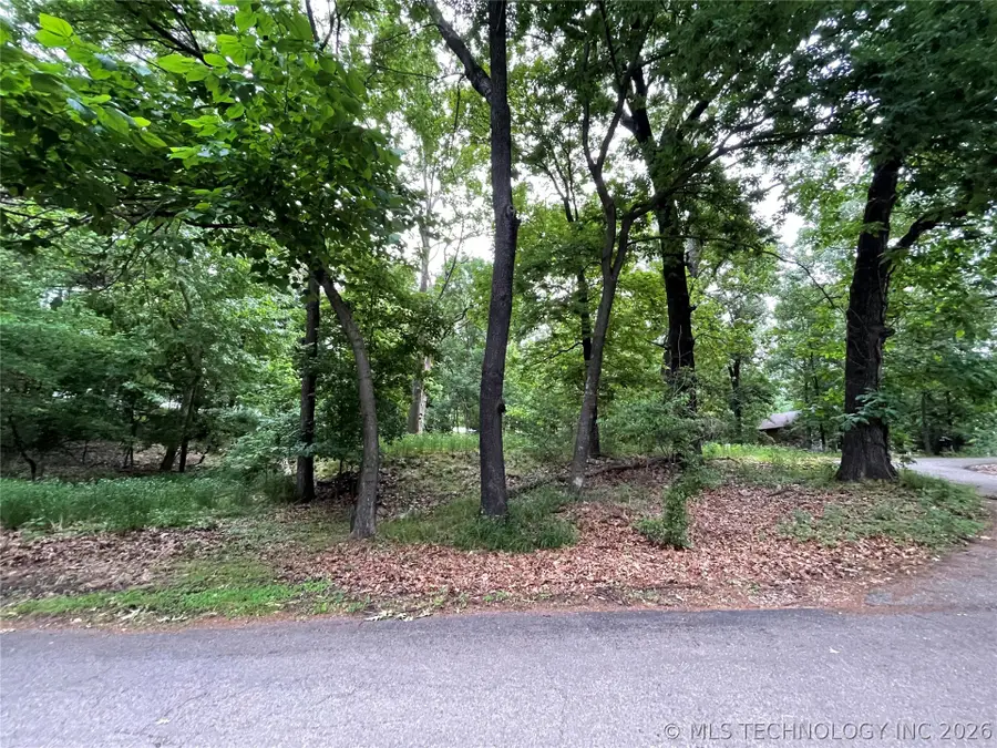 Gran Drive, Afton, OK 74331 - #2