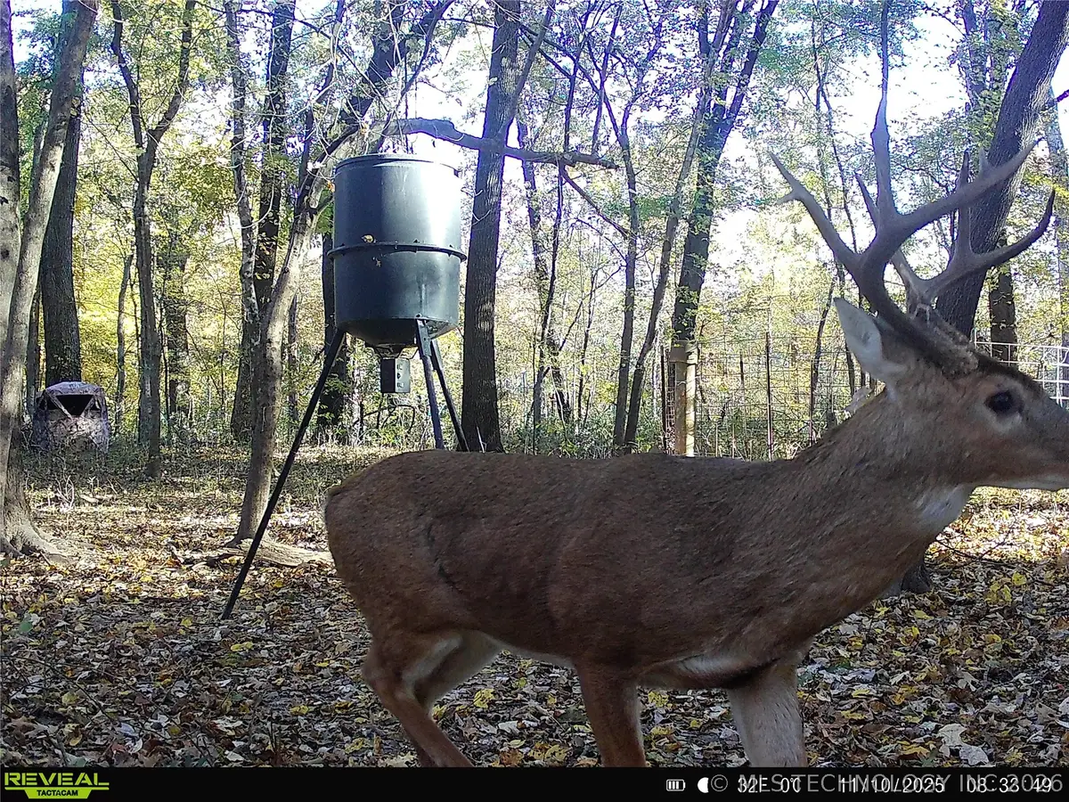 101555 4590 Loop, Vian, OK 74962 - #1