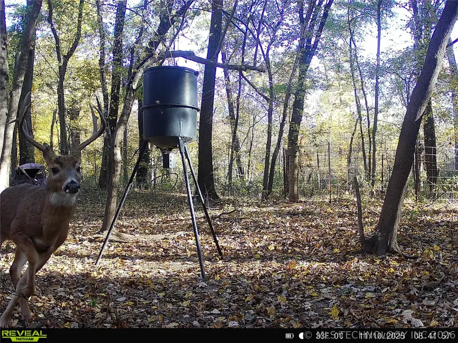 101555 4590 Loop, Vian, OK 74962 - #2