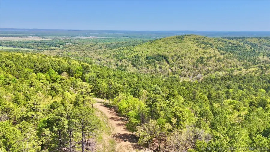 W 1330 Road, Kinta, OK 74552 - #2