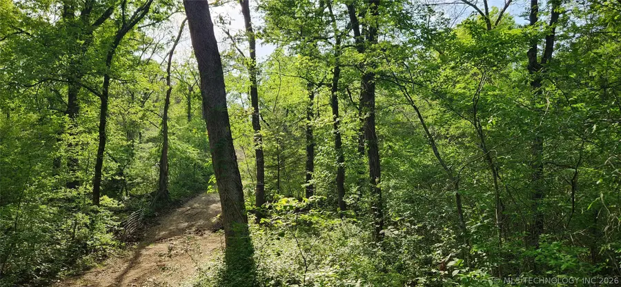 19502 Wilson Road, Henryetta, OK 74437 - #3