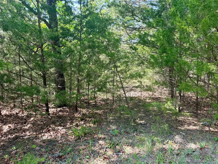 17 Council Tree Drive, Canadian, OK 74425 - #3