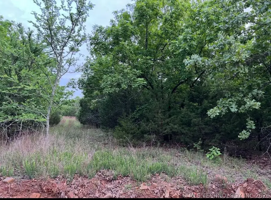 0 Eastern Brooktrout Street, McAlester, OK 74501 - #3