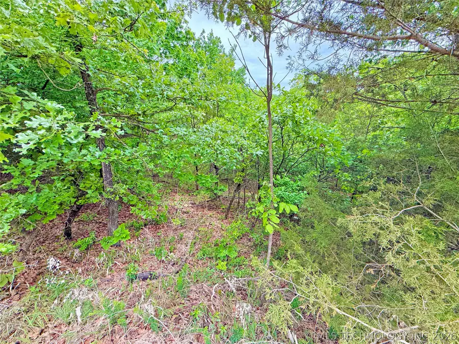 29 Lakeside Drive, Eufaula, OK 74432 - #2