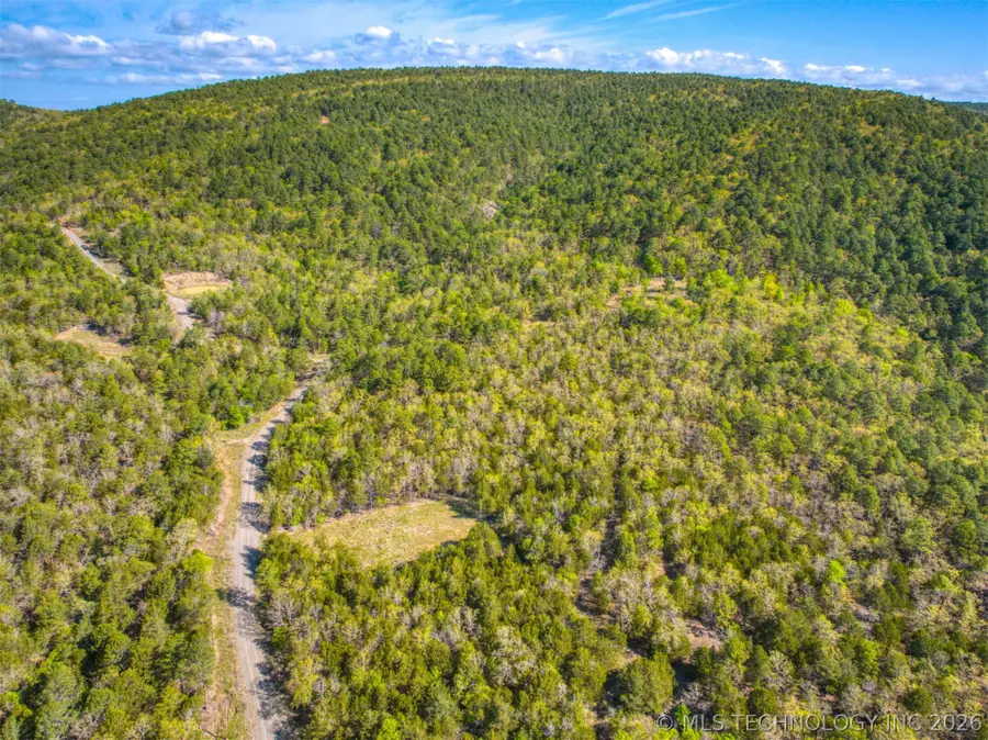 51 Savage Road, Pittsburg, OK 74560 - #3