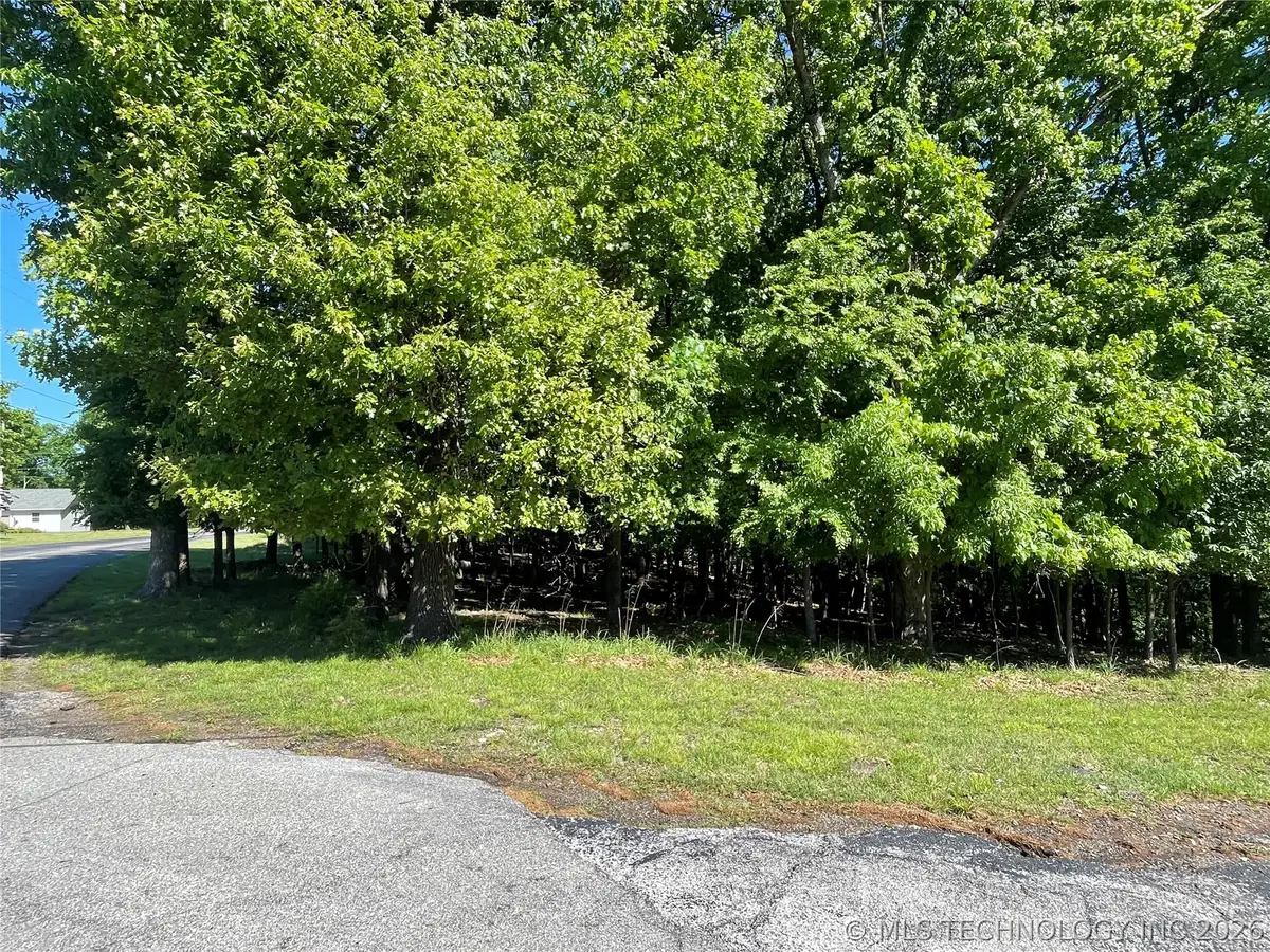 Ross Drive, Afton, OK 74331 - #1