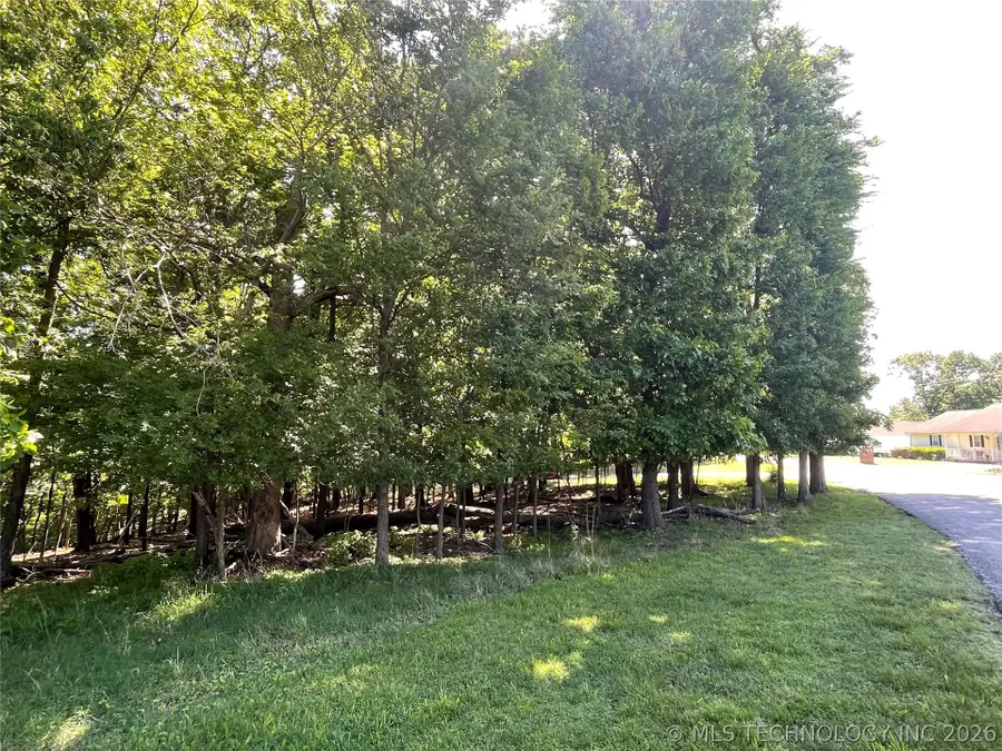 Ross Drive, Afton, OK 74331 - #2