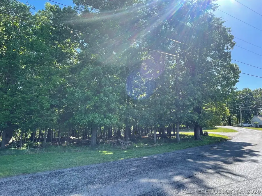 Ross Drive, Afton, OK 74331 - #3