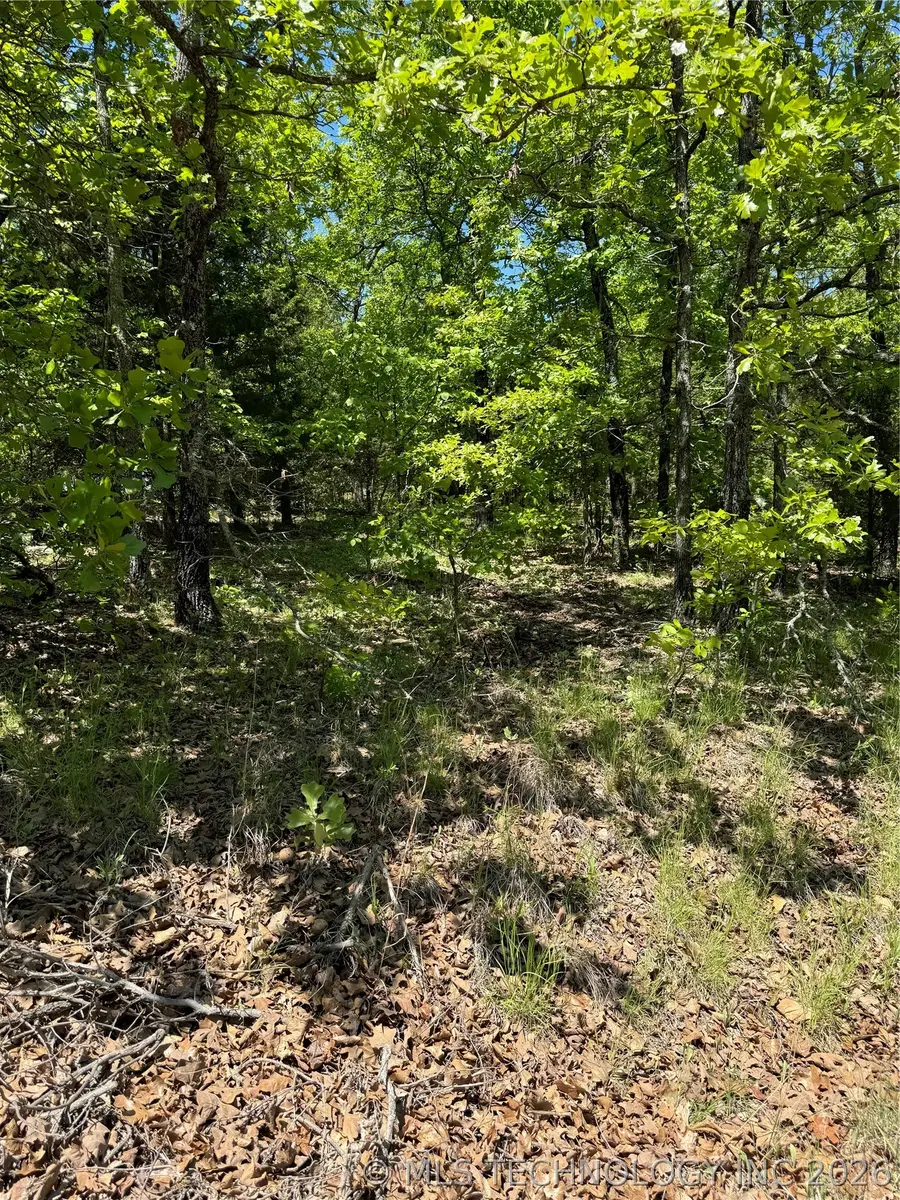 27 S 4532 Road, Vian, OK 74962 - #3