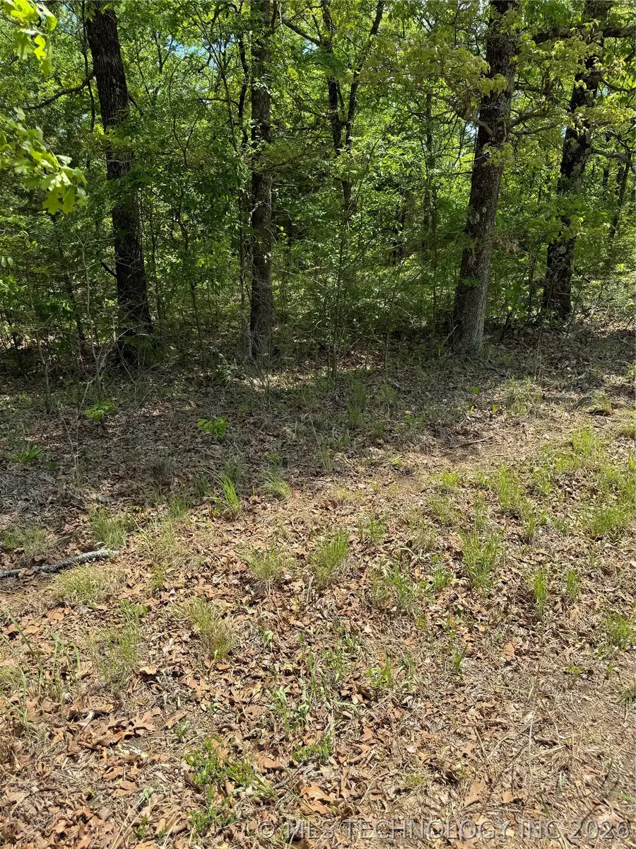 30 S 4550 Road, Vian, OK 74962 - #3