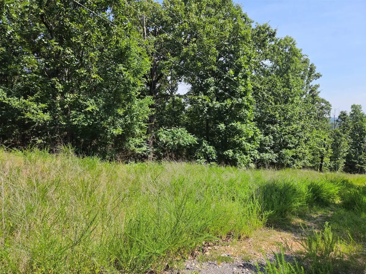 W Horseshoe Drive, South Cherokee, OK 74451 - #1