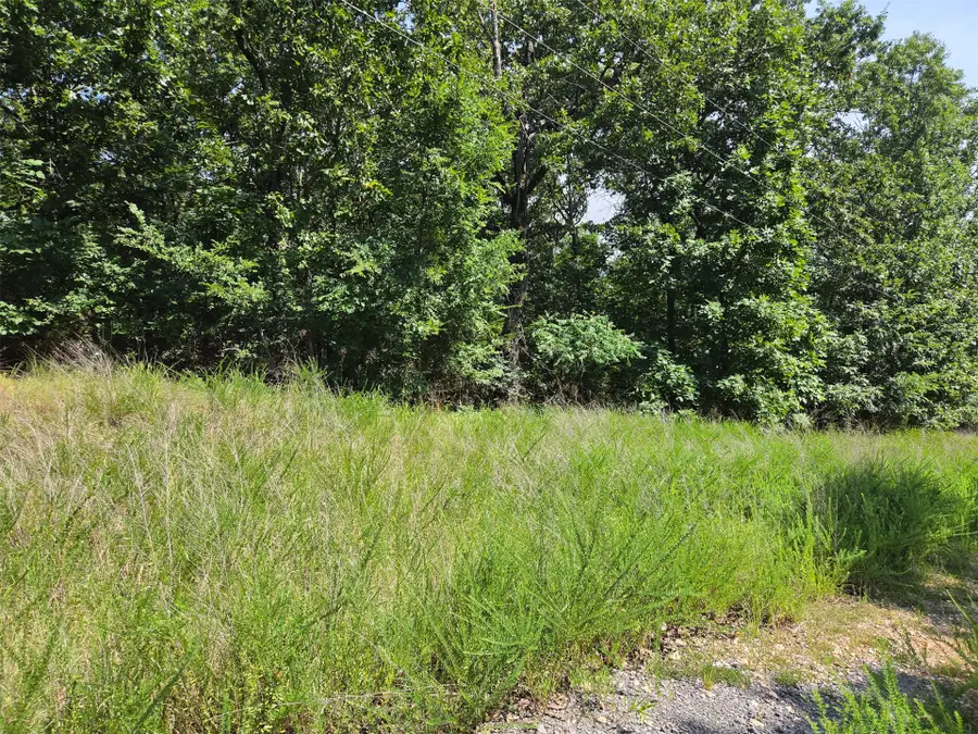 W Horseshoe Drive, South Cherokee, OK 74451 - #2