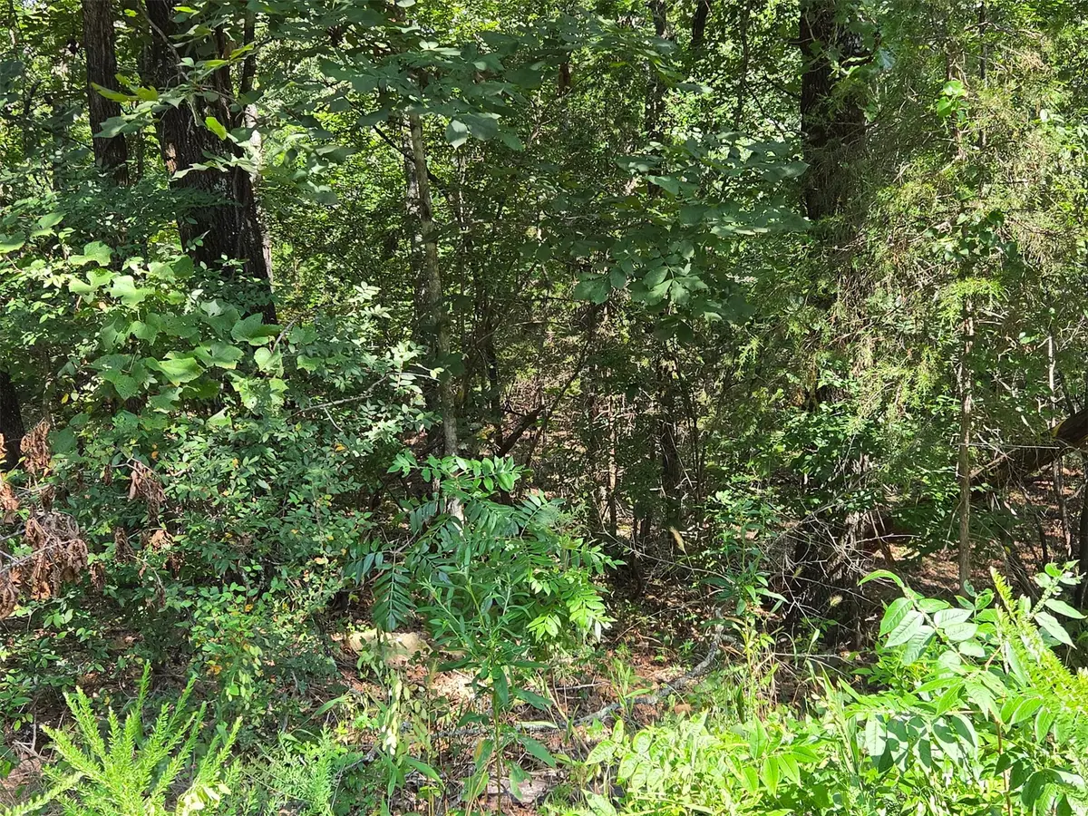 W Red Rock, South Cherokee, OK 74451 - #1