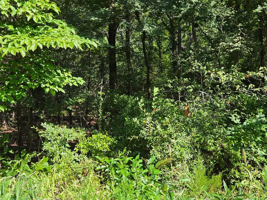 W Red Rock, South Cherokee, OK 74451 - #2