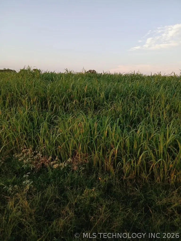 0 Kennedy Road, Wilson, OK 73463 - #3