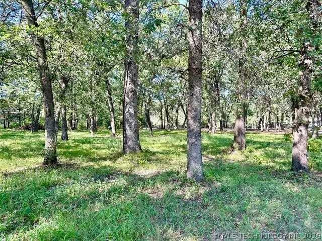 0 Treeline Trail, Kingston, OK 73439 - #3