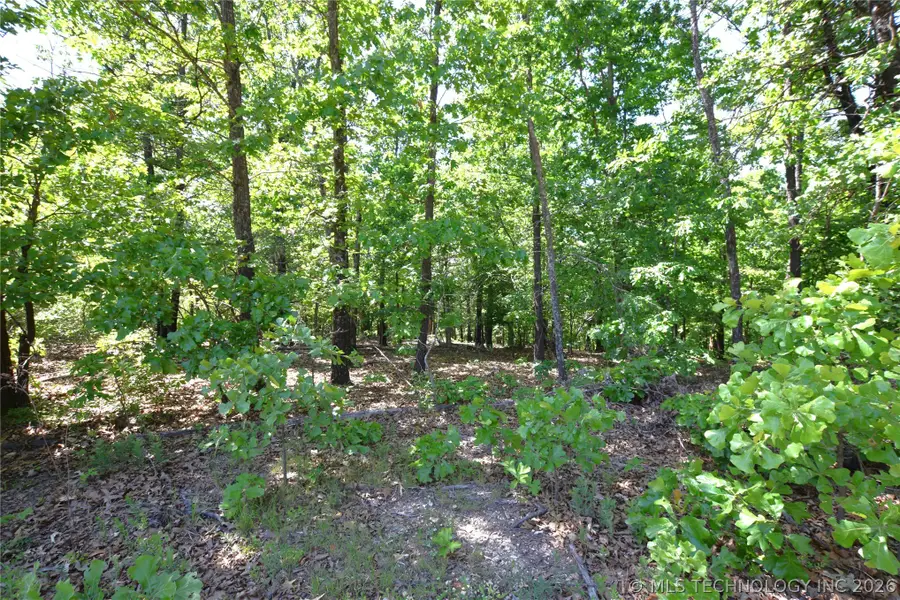 6387 Sacred Fire Ridge Road, Proctor, OK 74457 - #2