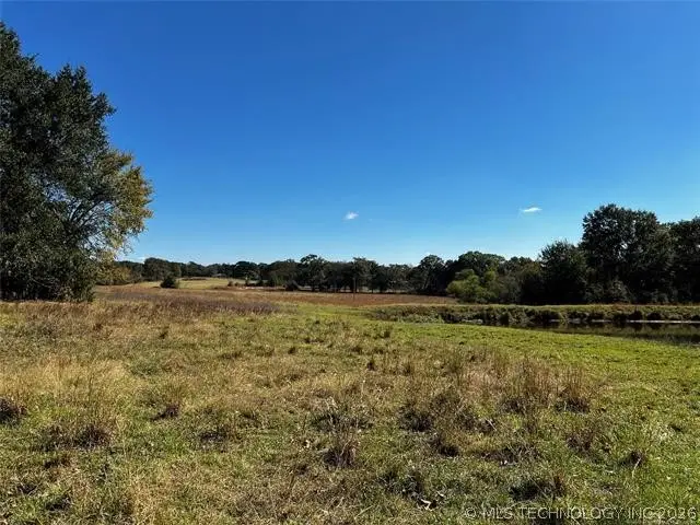 11247 S Buckholt, Caddo, OK 74729 - #3