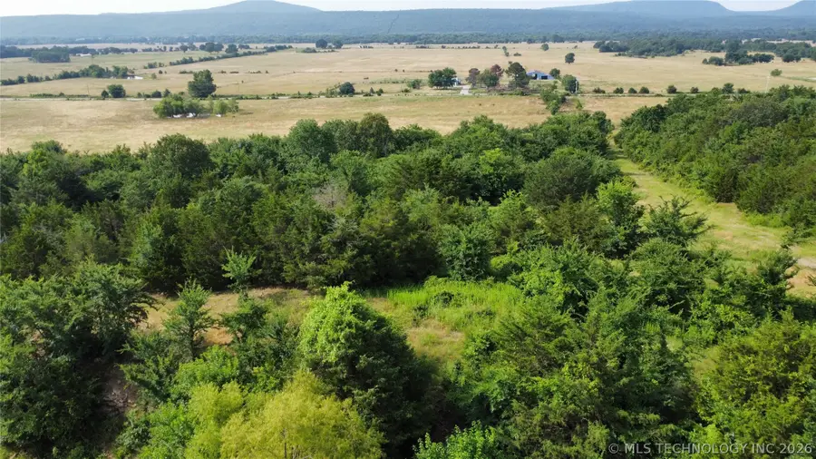 State Hwy 31, Kinta, OK 74552 - #3
