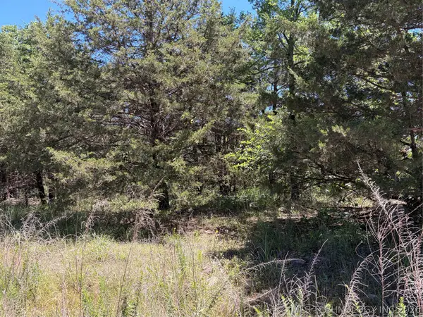 John's Valley Road, Moyers, OK 74557